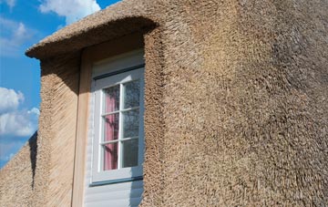 Hildersley thatch roof disadvantages